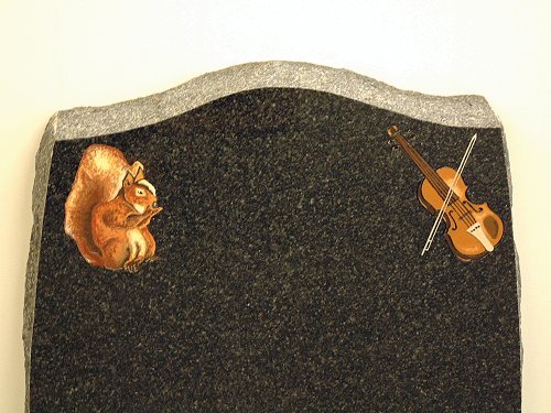 Squirrel and Violin